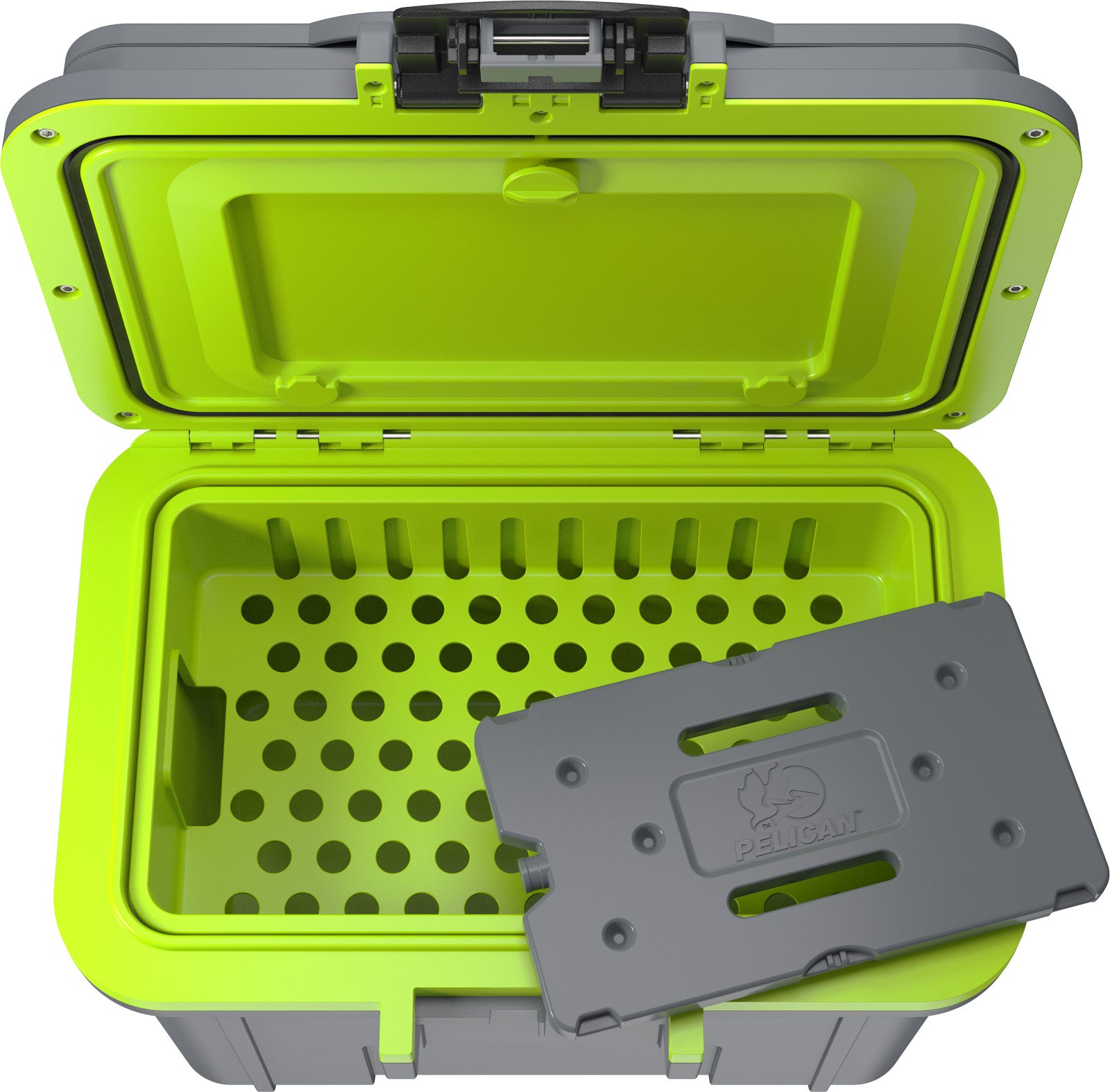 8 Quart Personal Cooler