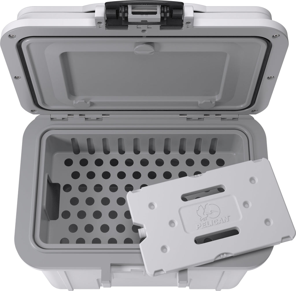 8 Quart Personal Cooler