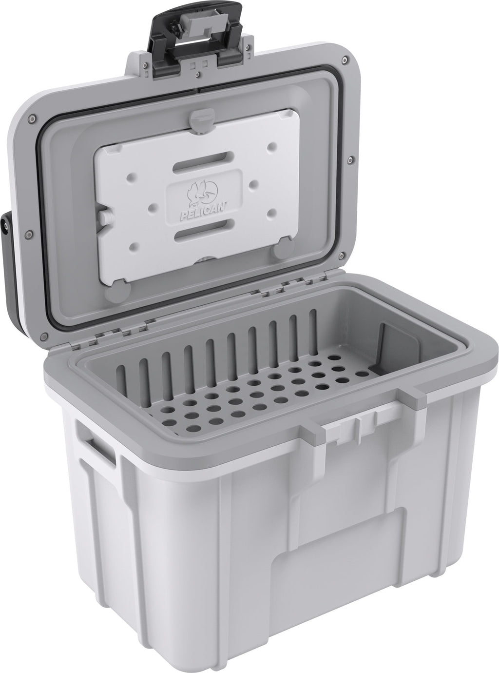 8 Quart Personal Cooler